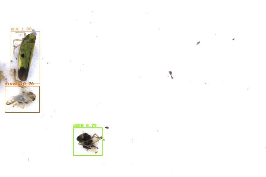 Image 9